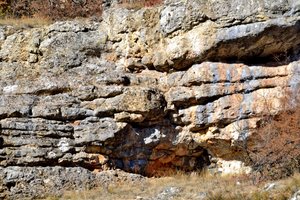 501 Ах, господа, зачем(Настало  наше  время)...  ст.  Владимир  Полуничев