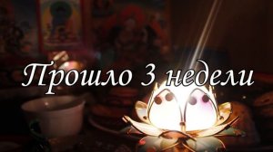 Что будет если не есть СЛАДКОЕ месяц