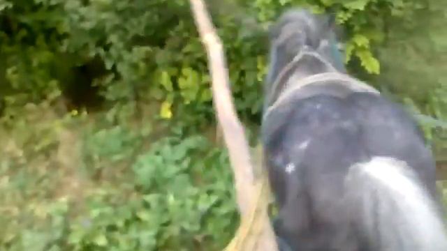 лошадинный дрифт смотреть онлайн