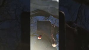 Рыбалка по-женски. Часть 1.      Рыбалка на реке Псекупс.