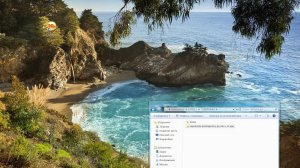 Заполнение контрагентов по ИНН в 1С УПП