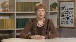 Места обитания птиц  Значение птиц в жизни человека