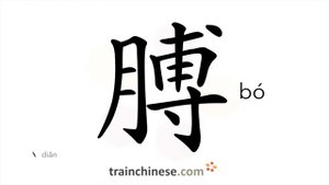 膊 (bó) arm; shoulder; upper arm