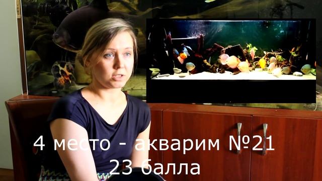 Интерактивный аквариумный туризм - Итоги 3/4 (Ксения Бородай) смотреть онлайн