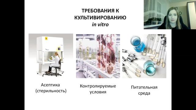 Клональное микроразмножение