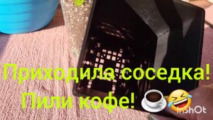 Гастерия. Пересадка.15.09.2023.