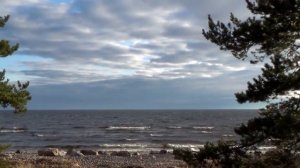 Небо цвета дождя (Аквариум)