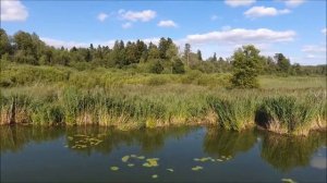 Солнечногорск. Озеро Сенеж с высоты птичьего полета.