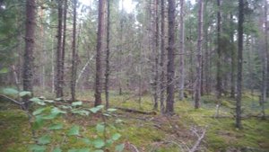 Россия, Костромская область, село Парфеньево
