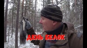 БЕЛИЧИЙ ДЕНЬ.НАСТОРОЖИЛ ВСЕ КАПКАНЫ.
