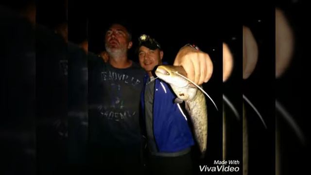 Сплав Десна 2018 смотреть онлайн