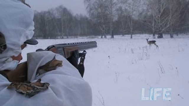 Как охотиться на косулю с подхода? Секреты сибирских охотников! смотреть онлайн