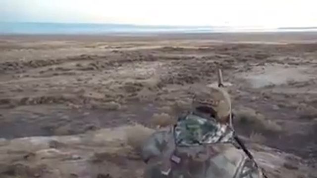 Охота на волк смотреть онлайн