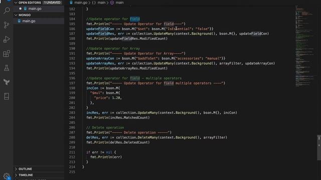 RESTful API in Golang using Echo - MongoDB update operators