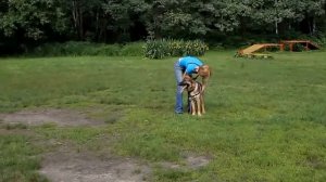 Шлейка корректирующая для собак OSSO  wmv