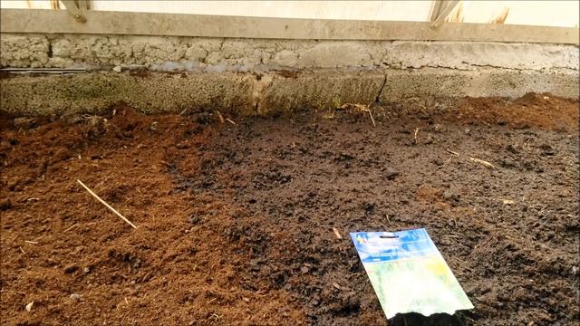 Всю зиму свежая зелень без отопления За счёт гниения яблок (закапываю в теплице) выделяеться тепло смотреть онлайн