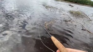 НАХЛЫСТ х ВЕСЕННИЙ ЖЕРЕХ #98