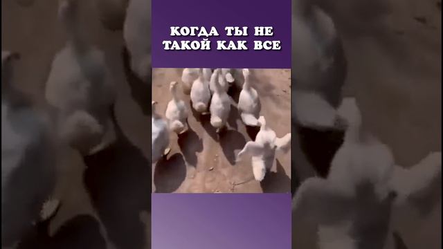 Когда ты не такой как все 🤩