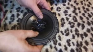 КАК ПРАВИЛЬНО ВЫБРАТЬ КИТАЙСКИЙ ДИНАМИК И НЕ ЛОХАНУТЬСЯ | БЕЗ ЛИШНИХ СЛОВ!