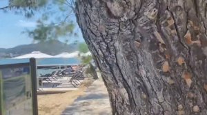 4K The Pine Walk Puerto de Pollensa :) 4K walking Tour June 2021port de pollença Walk with me :)