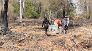 ЧАПЛЫК МАЙ 2023 СУББОТНИК НАРОДНОЙ ПРОТИВОПОЖАРНОЙ ГРУППЫ КОНТРОЛЬ ЧЕРВИШЕВО ПОСЛЕ  ЛЕСНОГО ПОЖАРА