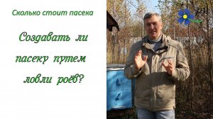 Ловля роёв как способ создания пасеки