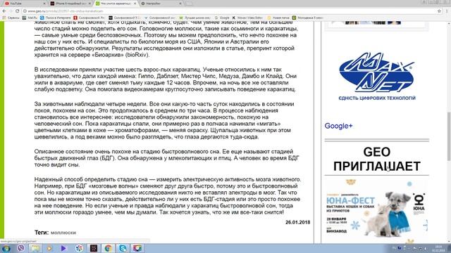 ЧТО СНИТСЯ КАРАКАТИЦАМ?веб рассказ смотреть онлайн