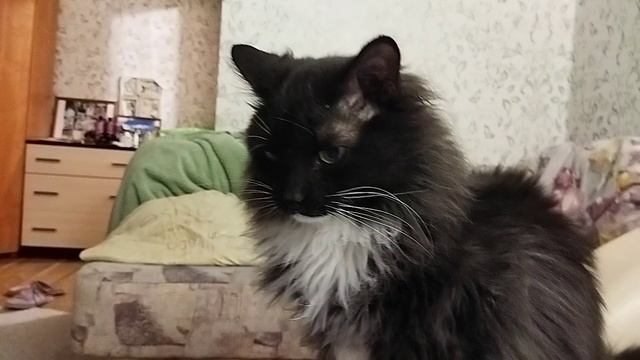 Царь ??, он и на Урале Царь ????