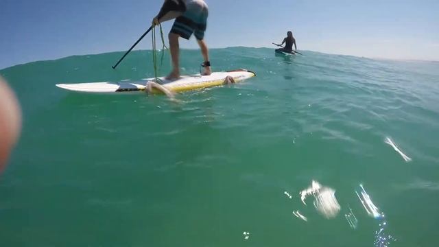 Сёрфер против гигантского кальмара смотреть онлайн