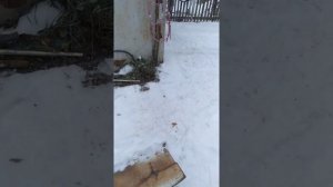 эволюция орудий труда