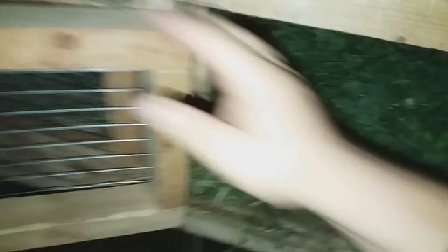 Вес "бедных" кроликов в 4,5 месяца! смотреть онлайн