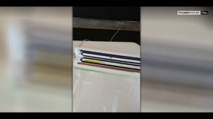 Ловля сома на ракушку перловицу?! Но как её сохранить? | Как сохранить ракушку перловицу свежей