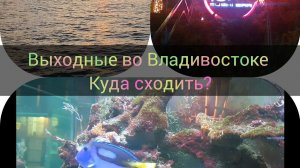 Мини Влог: куда СХОДИТЬ во Владивостоке, прогулка по Набережной/ ресторан ТОКИО/ vlog Vladivostok