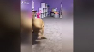 Видео на имя Макар