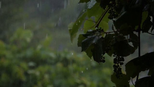 посмотри и не пожалеешь! Сила и мудрость слов смотреть онлайн