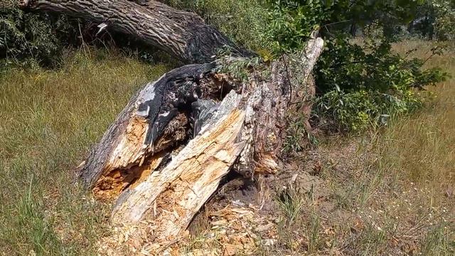Отдых на речке Березовке недалеко от Энгельса. Пешком по России