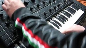 //POLIVOKS// POLYVOX// Soviet analog synth