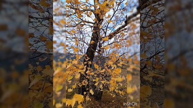 Скала Красный Гребень. Торгашинский хребет. Фестиваль "Сгущенка". Красноярск. Сентябрь 2022 смотреть онлайн