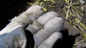 Наконечник стрелы из оловянистой бронзы, Скифы. Трехгранный. КОП 2020.