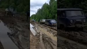 Дорога в Кедровый