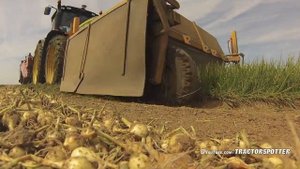 КАК УБИРАЮТ ЛУК-СЕВОК В НИДЕРЛАНДАХ. #луксевок #лук #лук_севок #комбайн #интерагроснаб #уборка_лука