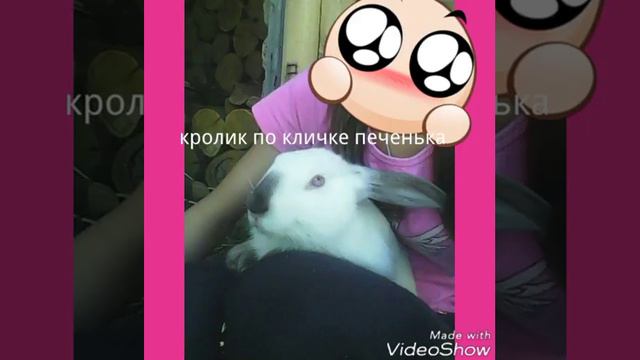 Кто у меня живёт