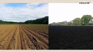 Образование почвы Плодородие | Окружающий мир 3 класс #6 | Инфоурок