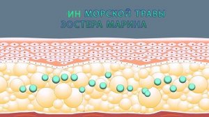 Простое решение проблем с кожей — крем Травамарин
