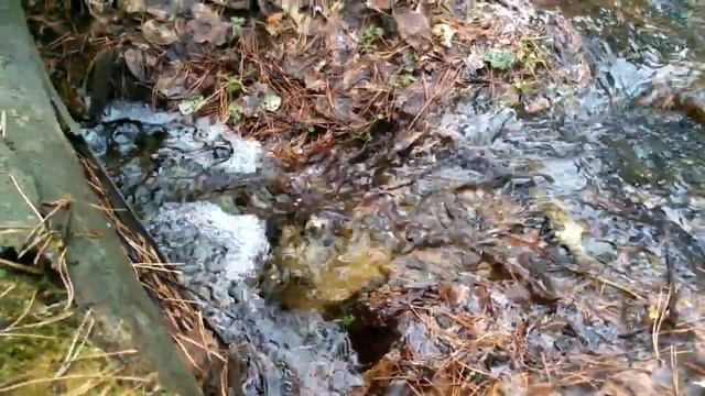 Ручей в весеннем лесу смотреть онлайн