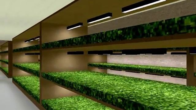 Стеллажная теплица смотреть онлайн