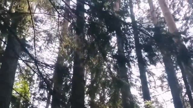 По следам Старообрядцев Сибири