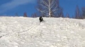 Снегоход арктик кэт.