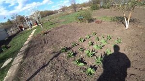 ЖЕНСКИЕ БУДНИ в деревне)