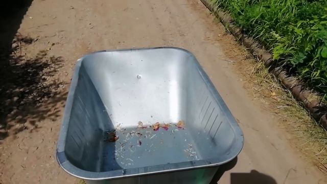 ВЛОГ?/ГОЛУБИ?/УРОЖАЙ ?/СНОВА ЗАБОЛЕЛА/ КАТАЮ ТАЧКУ?/#vlog#новинки# смотреть онлайн